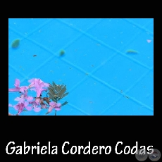 Fotografía de Gabriela Cordero Codas